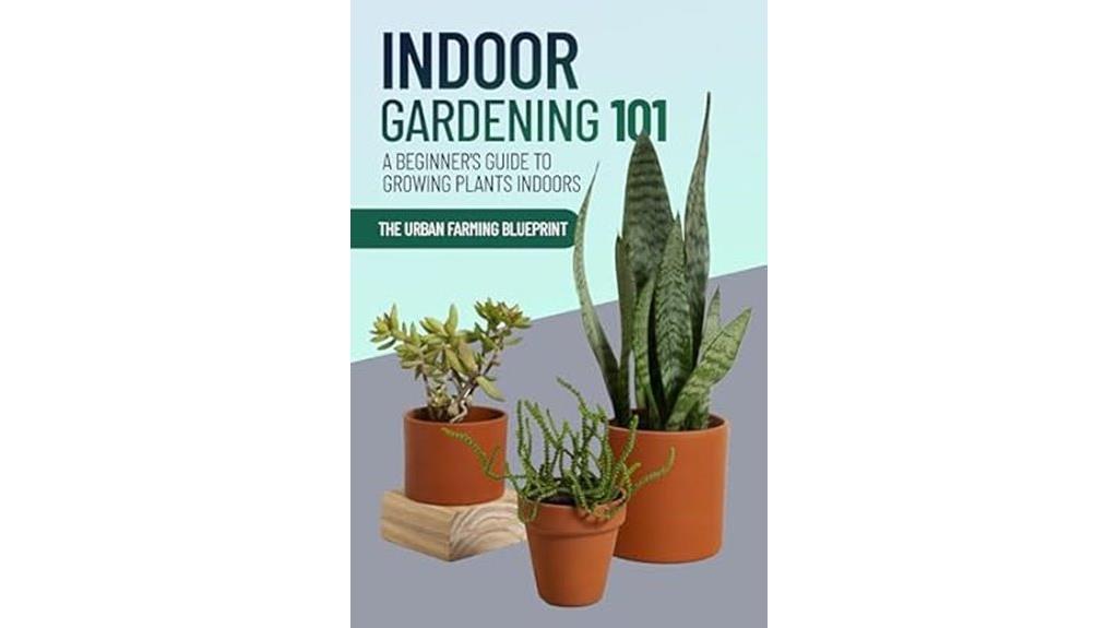 indoor plant care basics